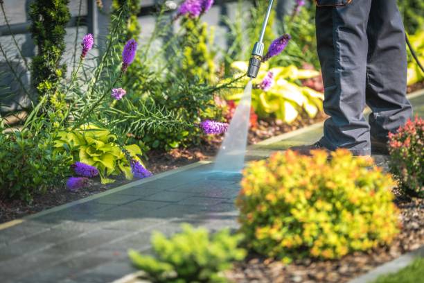 Trusted Lemoore, CA Pressure Washing Services Experts