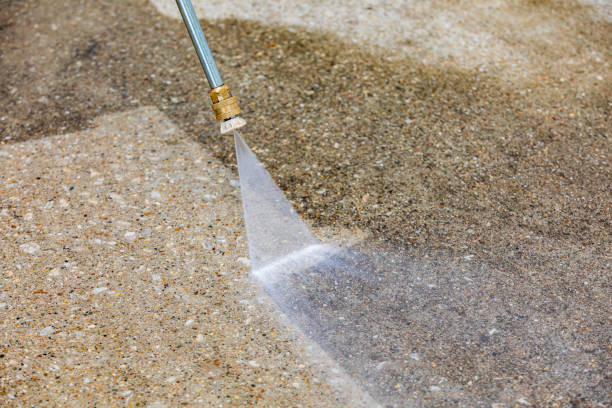 Best Animal Enclosure Cleaning  in Lemoore, CA
