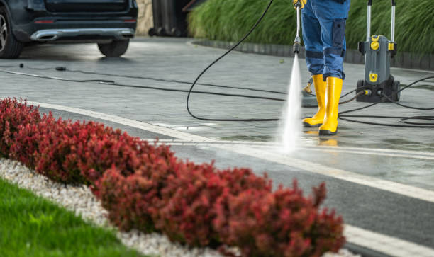 Best Solar Panel Cleaning  in Lemoore, CA